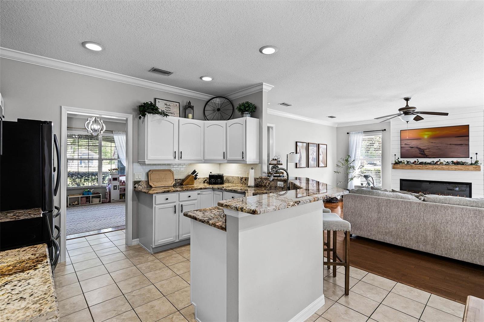 301 BROOKSTONE LN, FRUITLAND PARK, FL, 34731