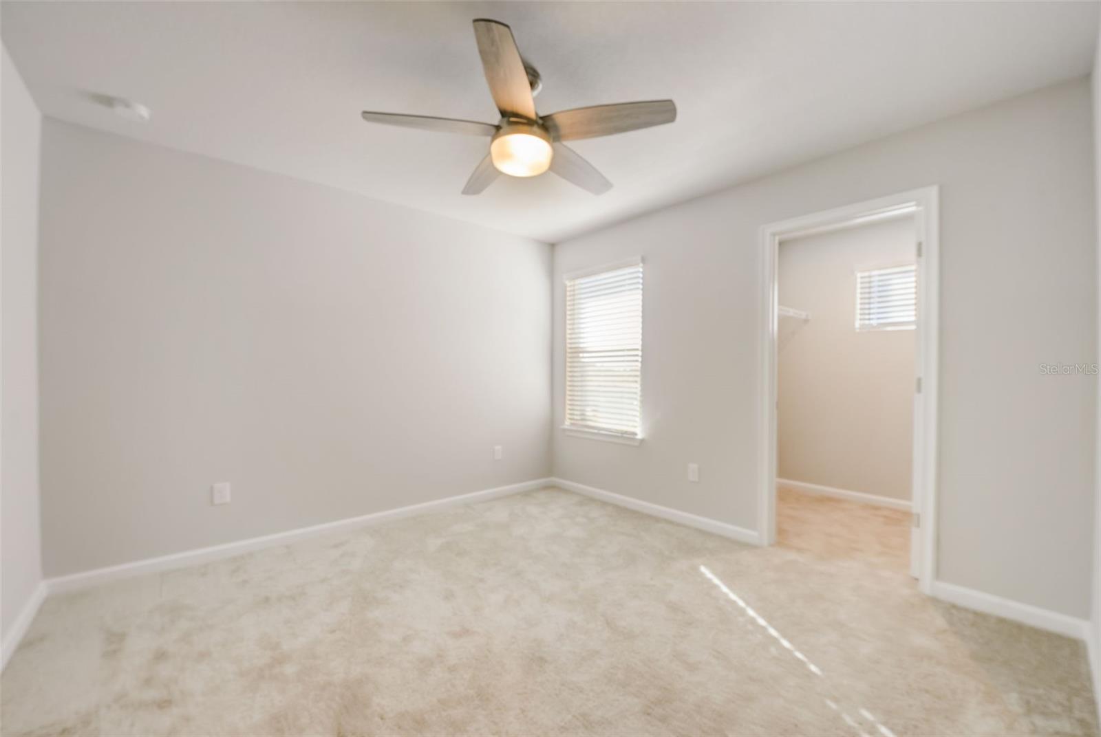 26089 WOVEN WICKER BND, LUTZ, FL, 33559