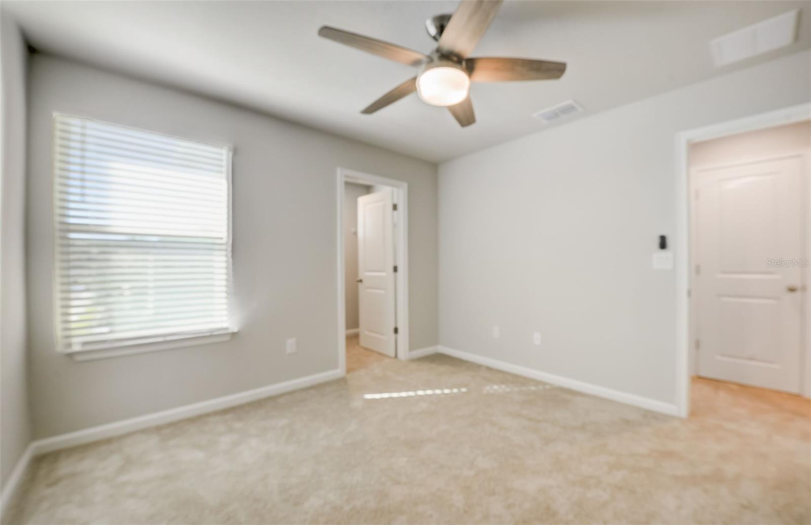 26089 WOVEN WICKER BND, LUTZ, FL, 33559