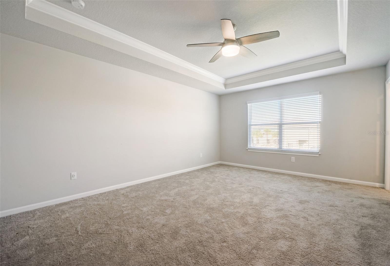 26089 WOVEN WICKER BND, LUTZ, FL, 33559