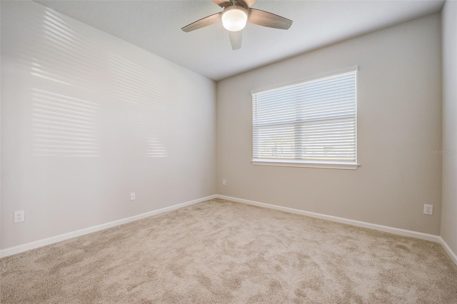 26089 WOVEN WICKER BND, LUTZ, FL, 33559