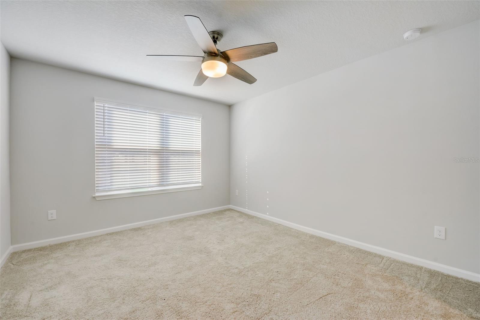 26089 WOVEN WICKER BND, LUTZ, FL, 33559