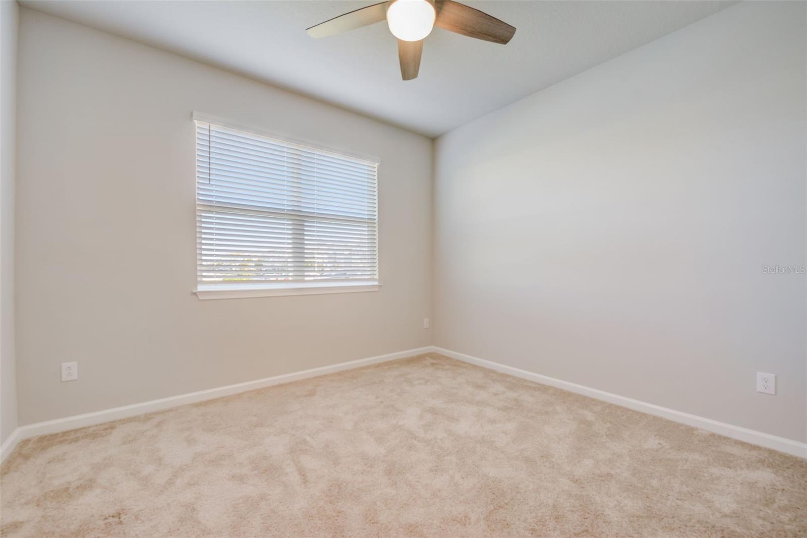 26089 WOVEN WICKER BND, LUTZ, FL, 33559