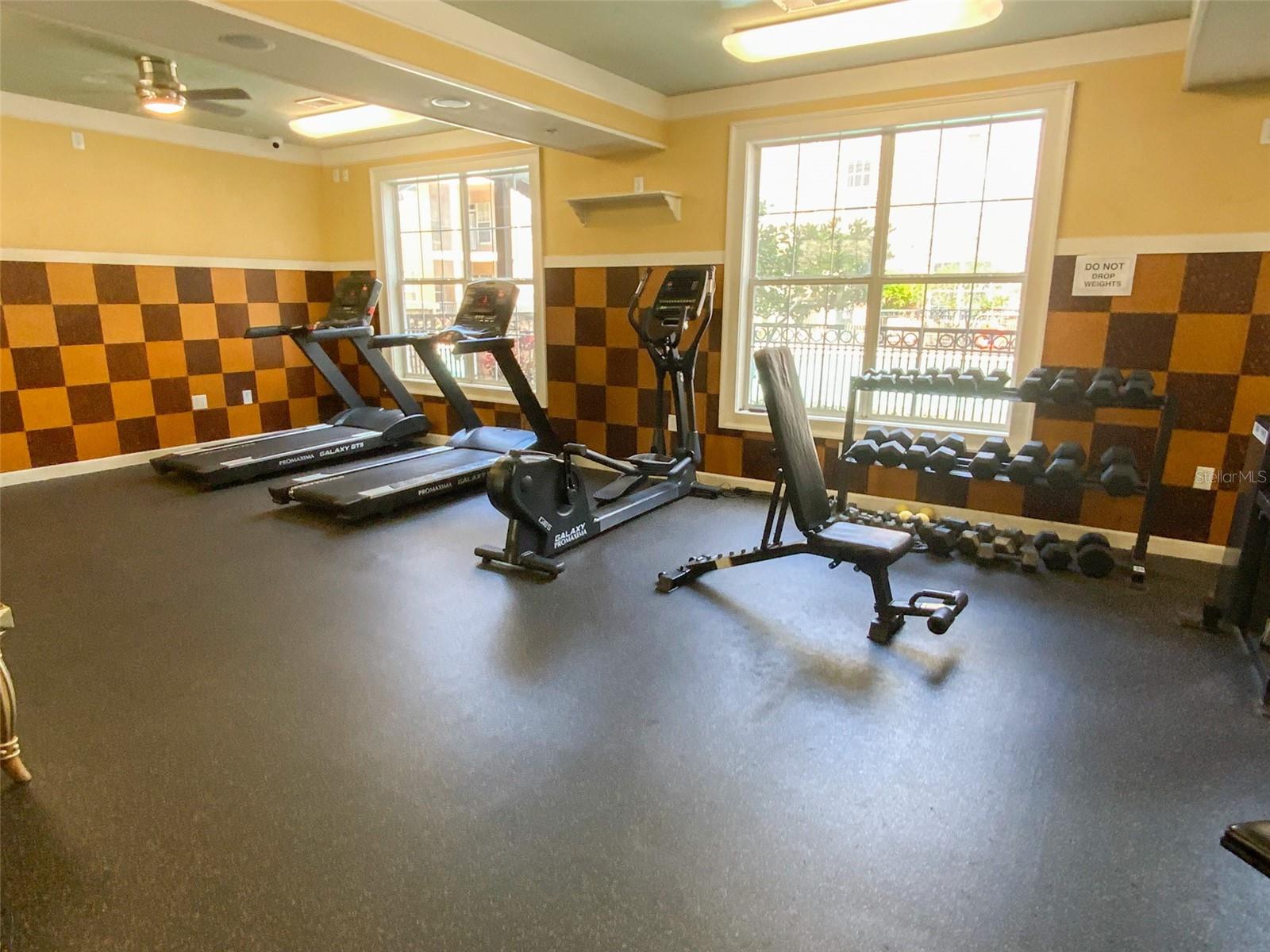 4221 W SPRUCE ST #1127, TAMPA, FL, 33607