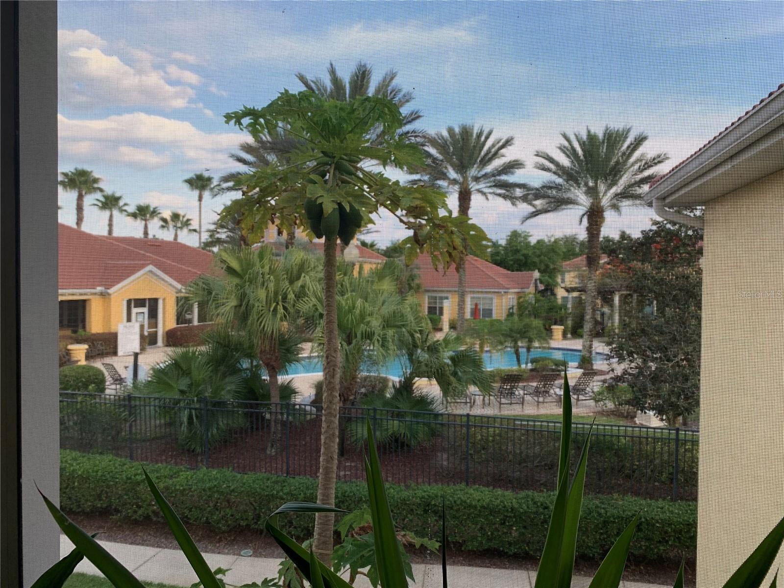 12307 LANTANA PARK LN #106, ORLANDO, FL, 32837