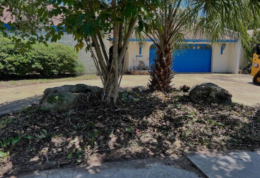 2585 BUENA VISTA DR, TITUSVILLE, FL, 32780