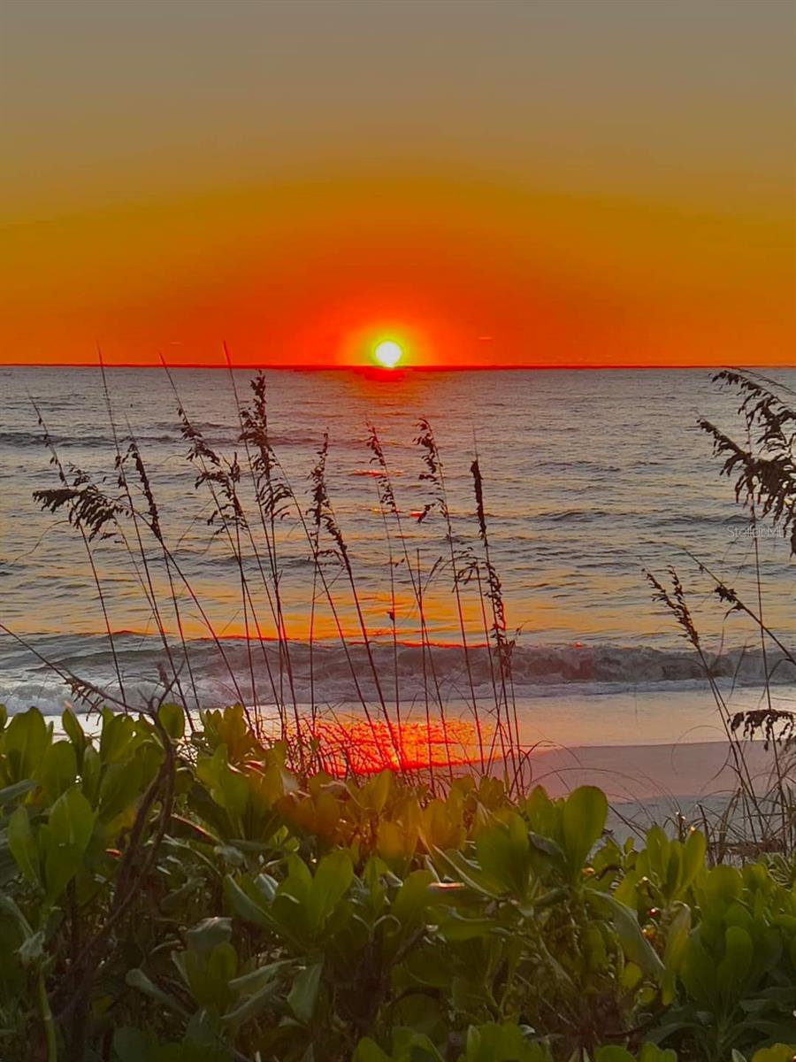 5264 LAKE VILLAGE DR #48, SARASOTA, FL, 34235