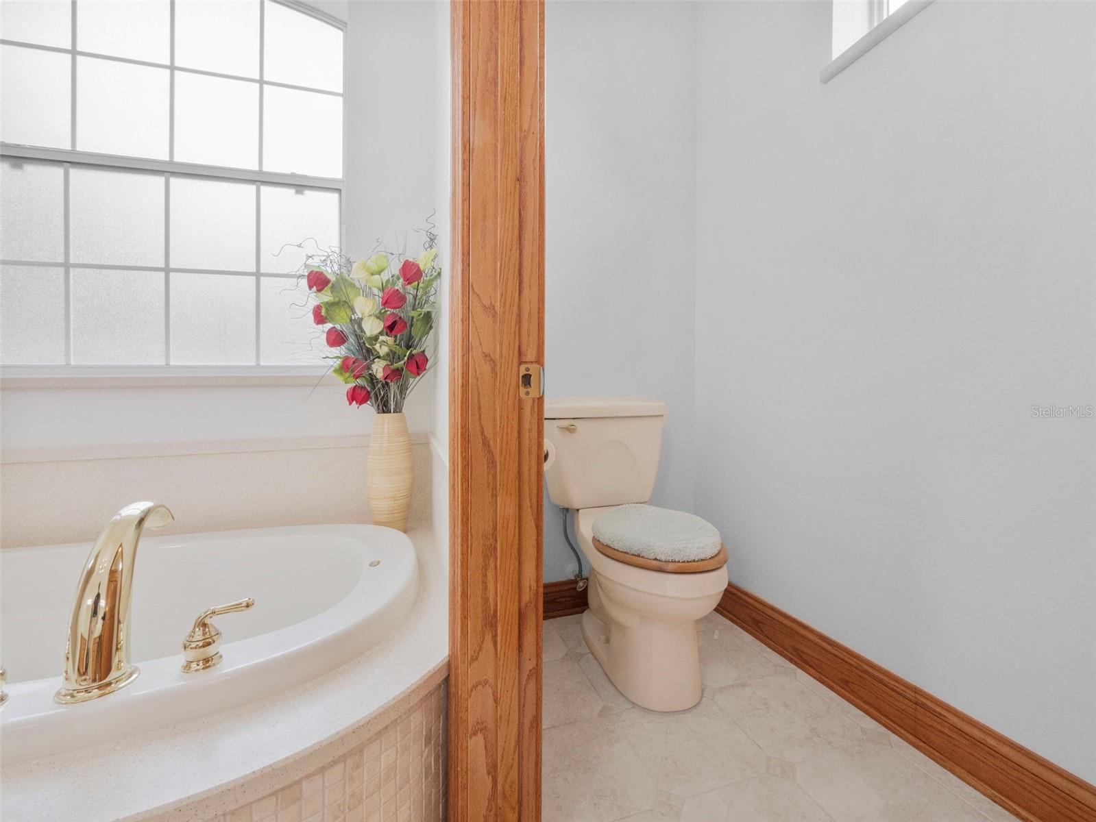 26301 SACKAMAXON DR, SORRENTO, FL, 32776