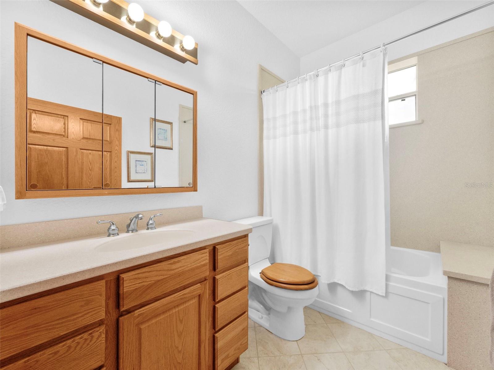 26301 SACKAMAXON DR, SORRENTO, FL, 32776