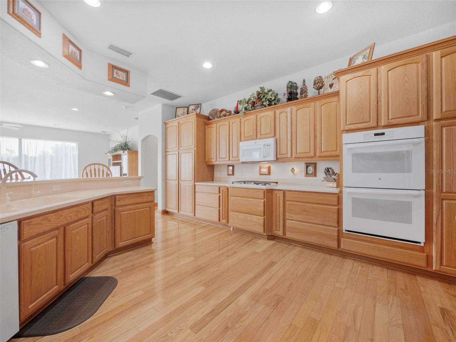 26301 SACKAMAXON DR, SORRENTO, FL, 32776