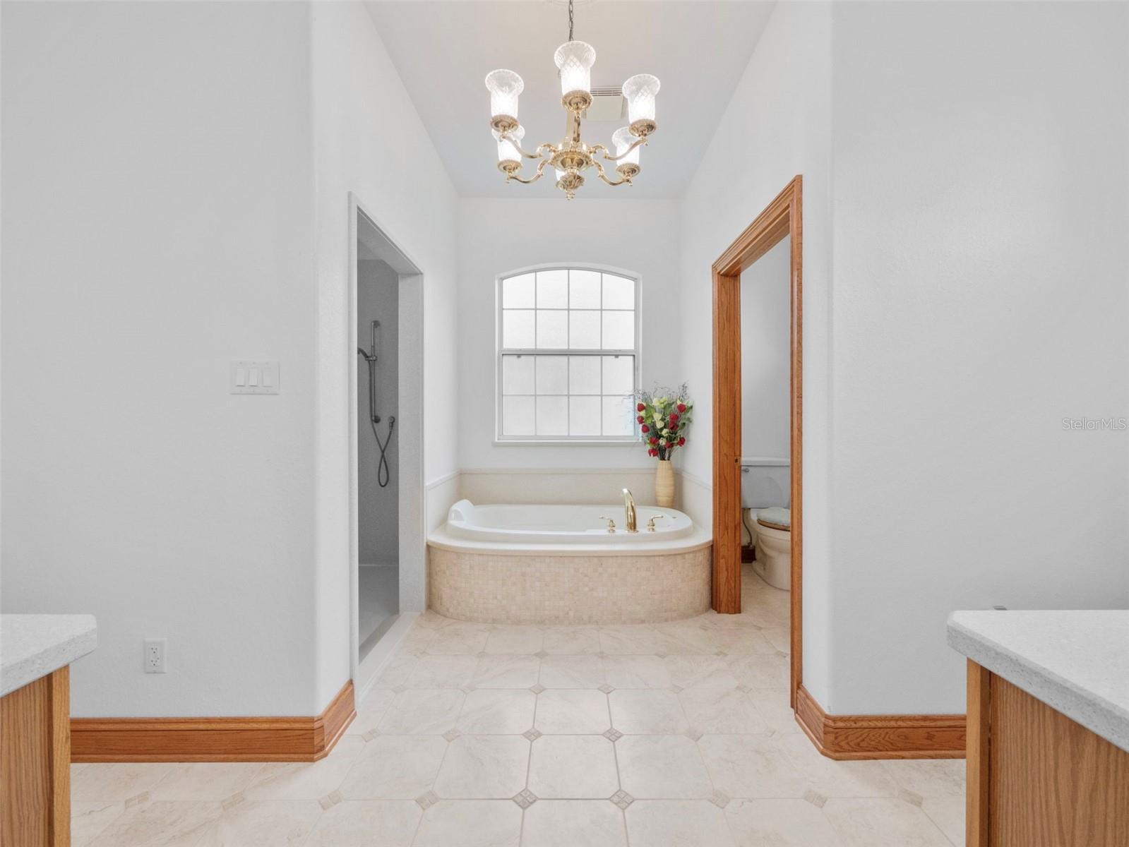 26301 SACKAMAXON DR, SORRENTO, FL, 32776