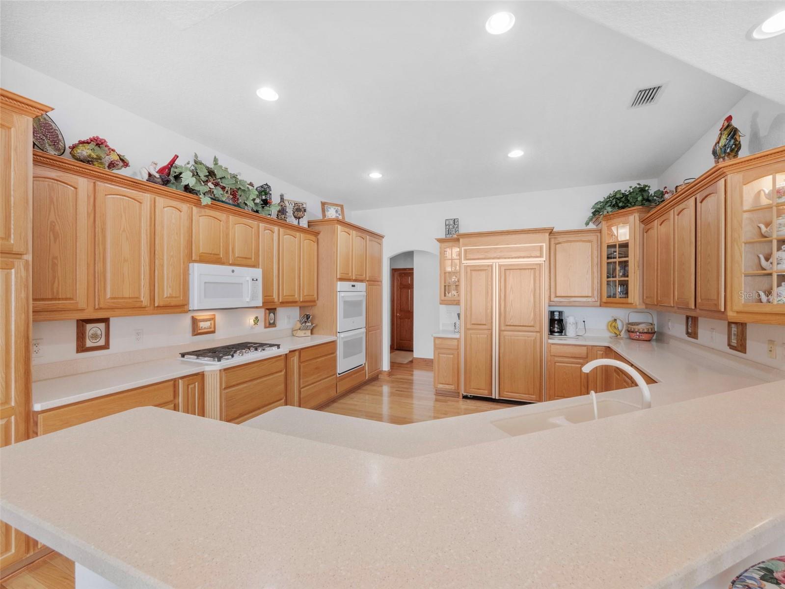 26301 SACKAMAXON DR, SORRENTO, FL, 32776