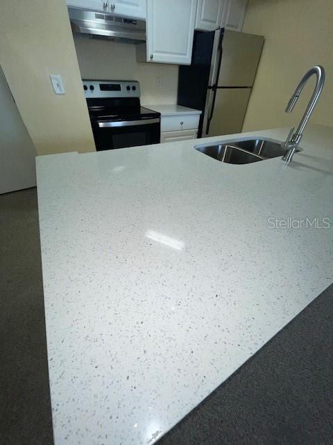 429 FOUNTAINHEAD CIR #223, KISSIMMEE, FL, 34741