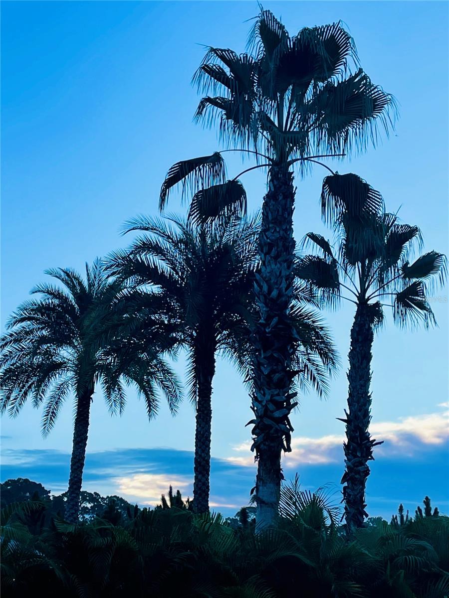 304 ST GEORGE DR, DAVENPORT, FL, 33837