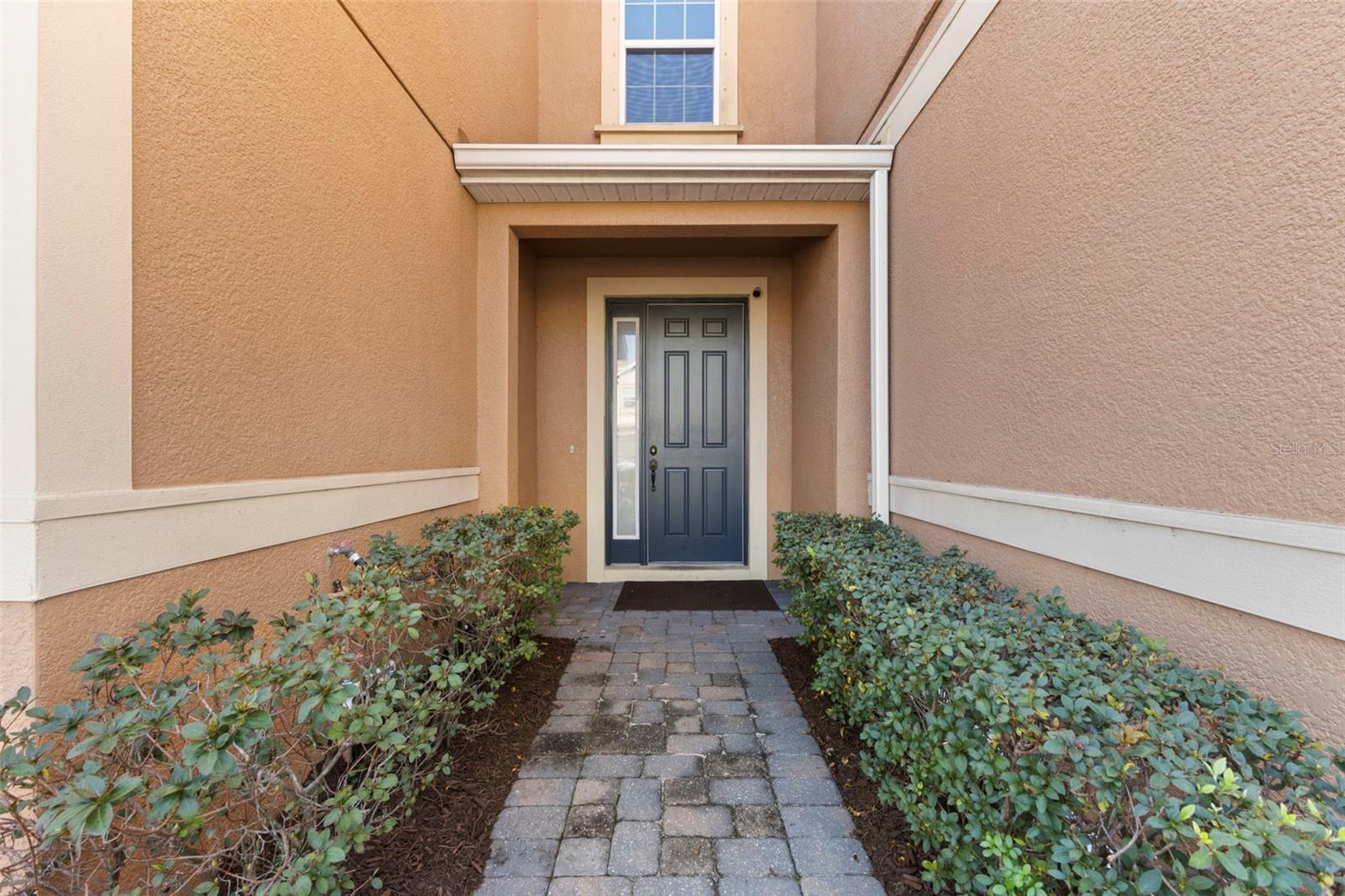 3214 PAINTED BLOSSOM CT, LUTZ, FL, 33558