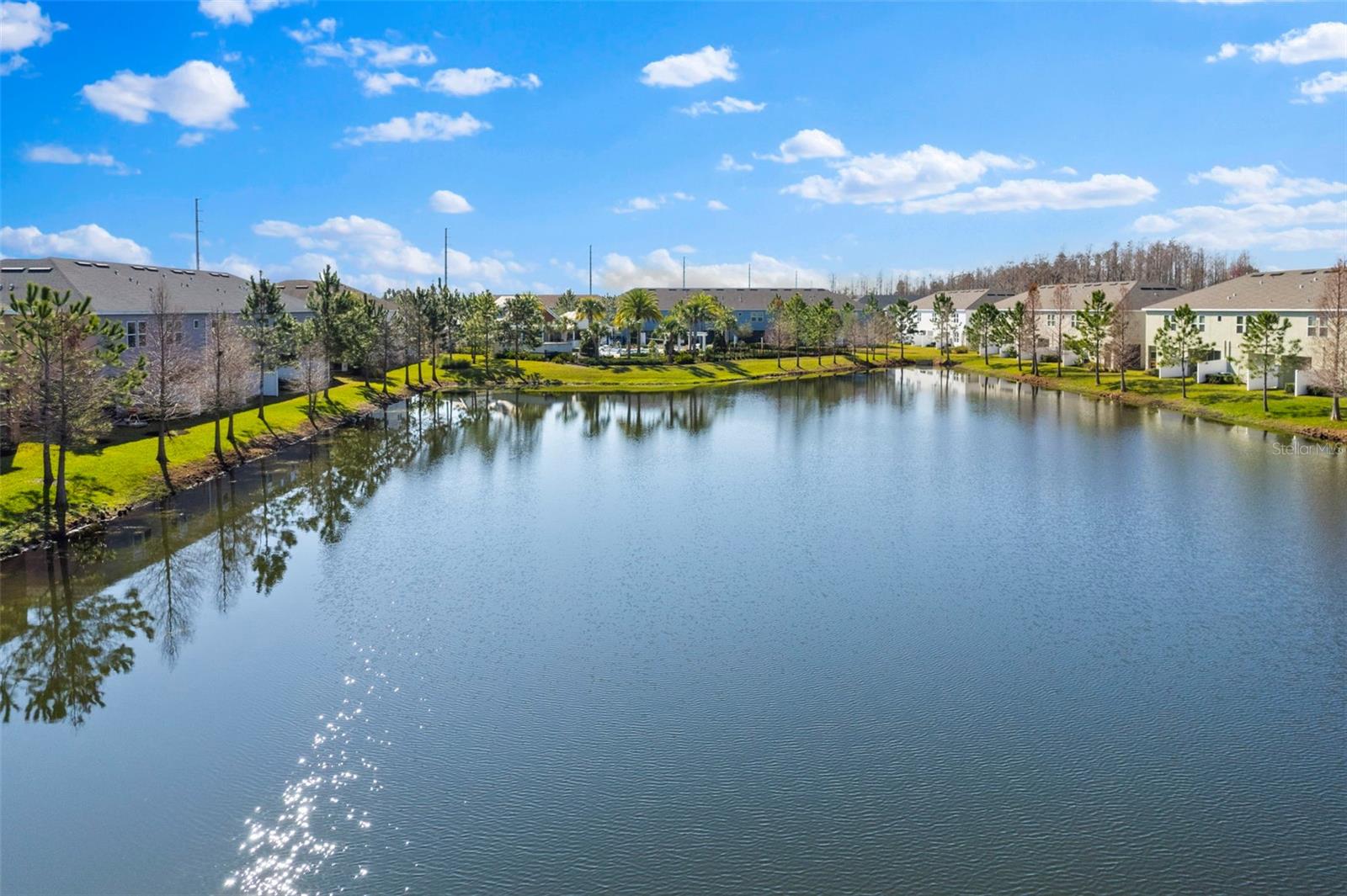 3214 PAINTED BLOSSOM CT, LUTZ, FL, 33558