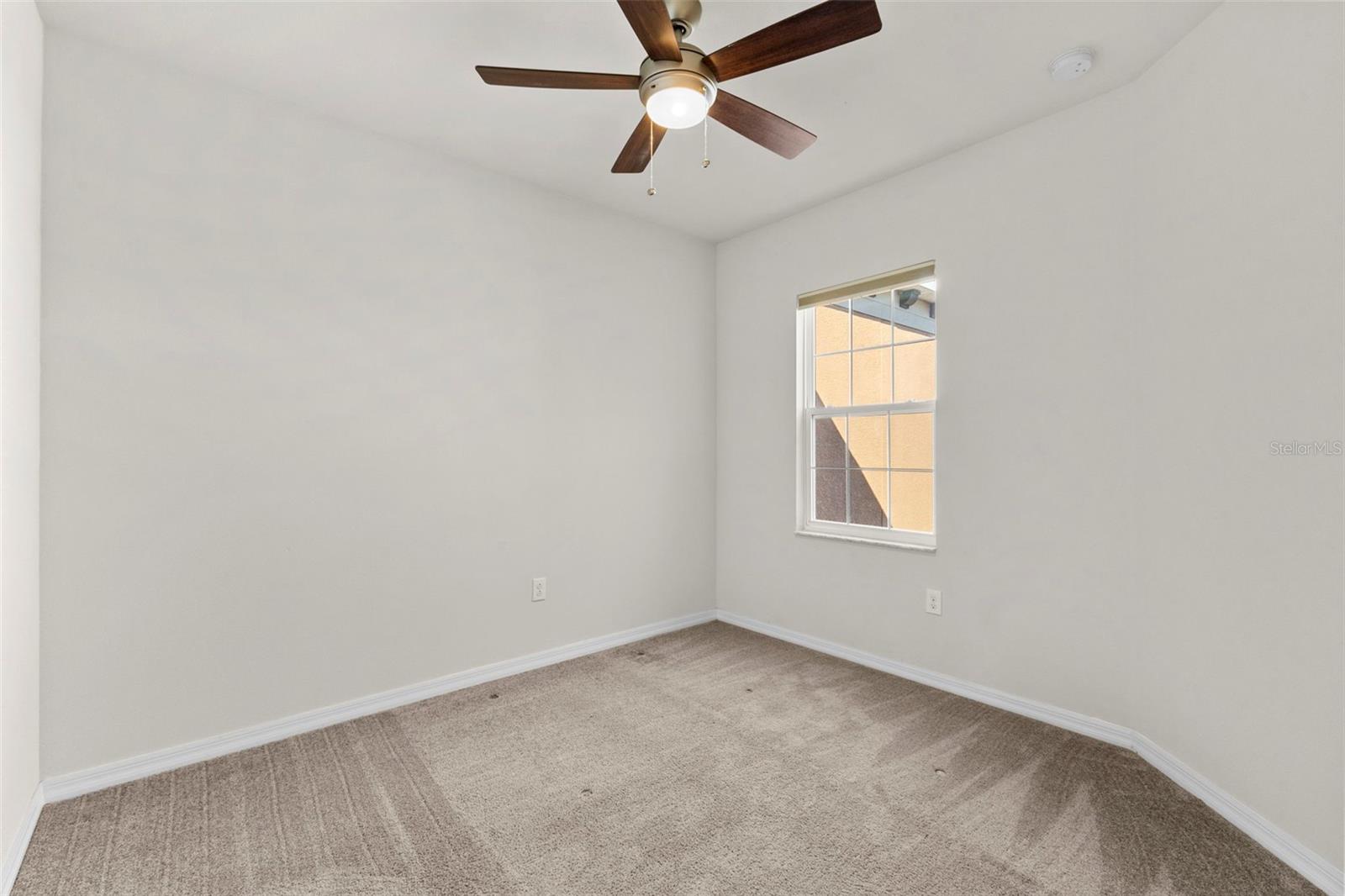 3214 PAINTED BLOSSOM CT, LUTZ, FL, 33558