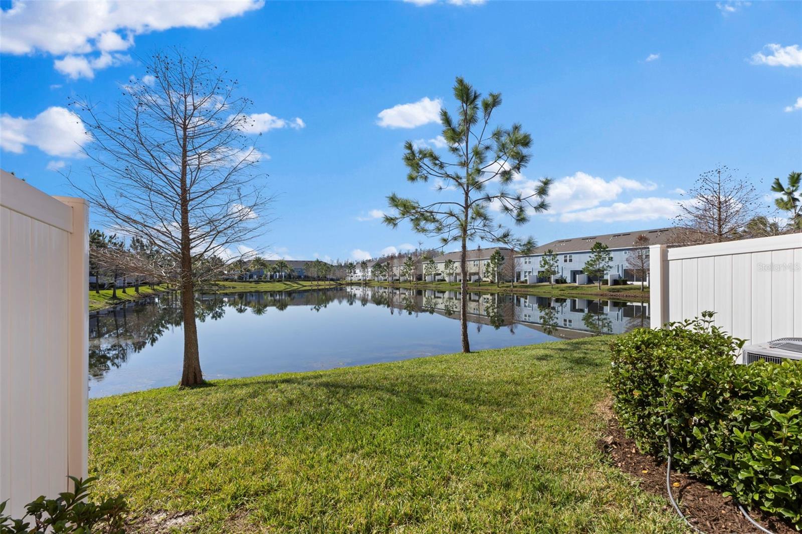 3214 PAINTED BLOSSOM CT, LUTZ, FL, 33558