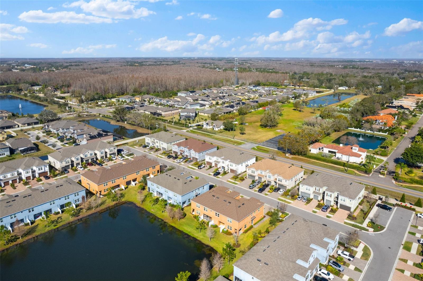 3214 PAINTED BLOSSOM CT, LUTZ, FL, 33558