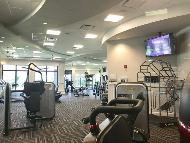 5710 PALMER CIR #203, BRADENTON, FL, 34211