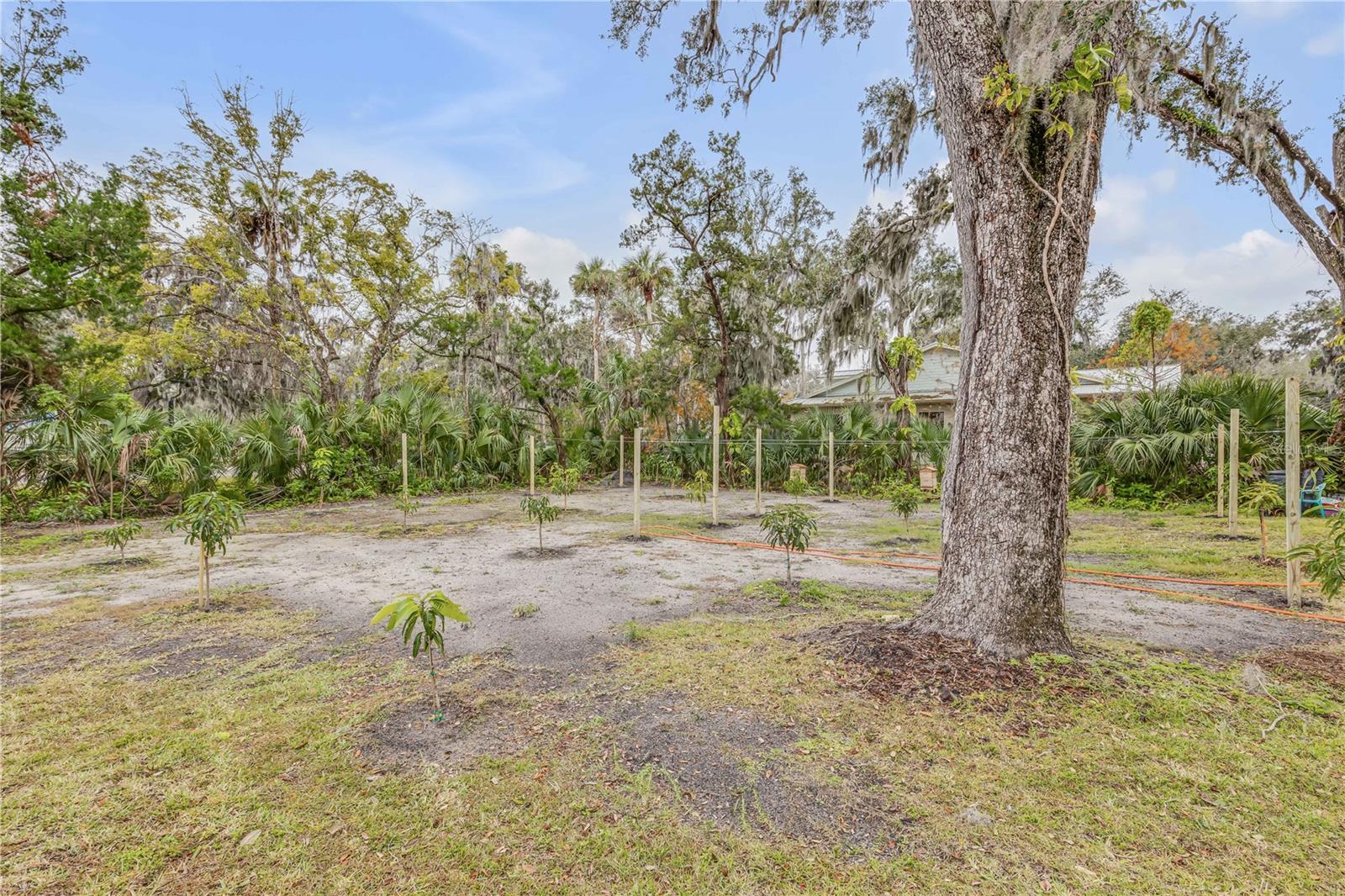 801 CANAL ST, NEW SMYRNA BEACH, FL, 32168