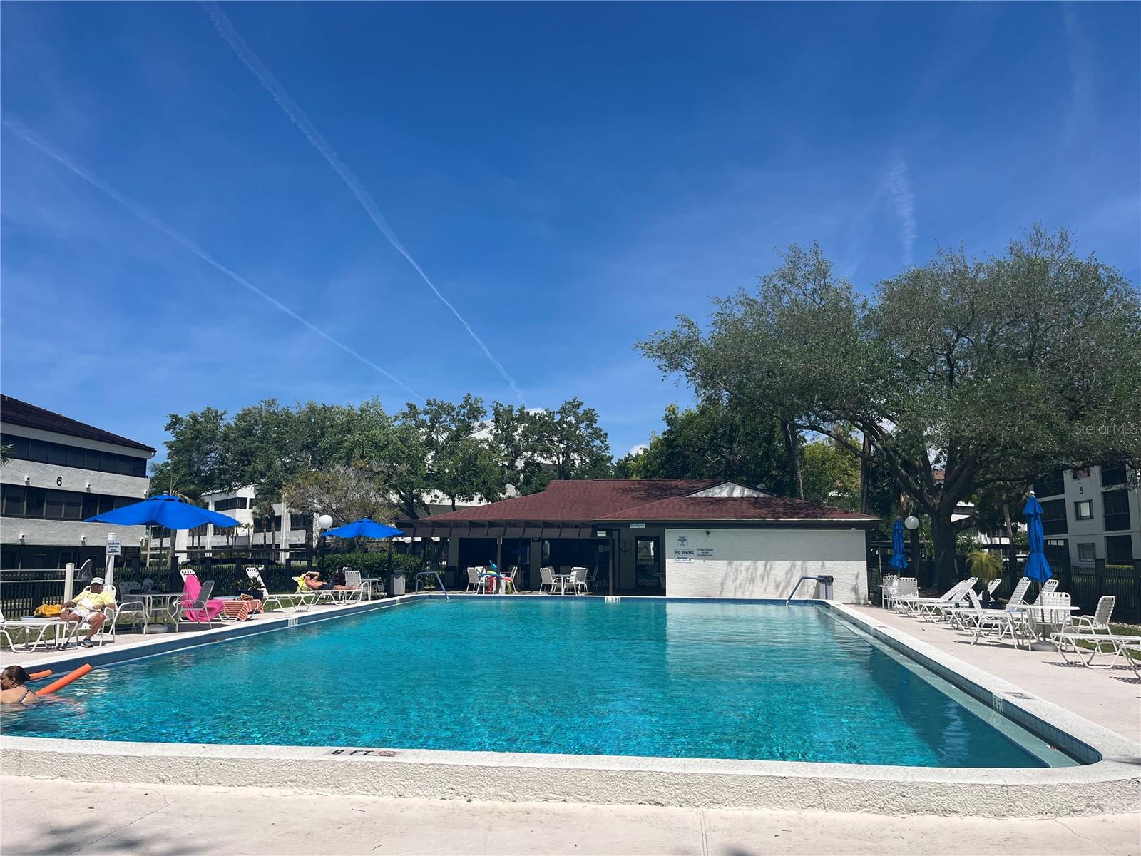 2583 COUNTRYSIDE BLVD #3102, CLEARWATER, FL, 33761