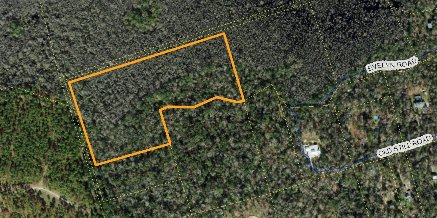 EVELYN RD, CRAWFORDVILLE, FL, 32327