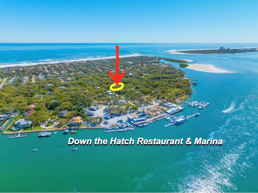 119 BEACH ST, PONCE INLET, FL, 32127