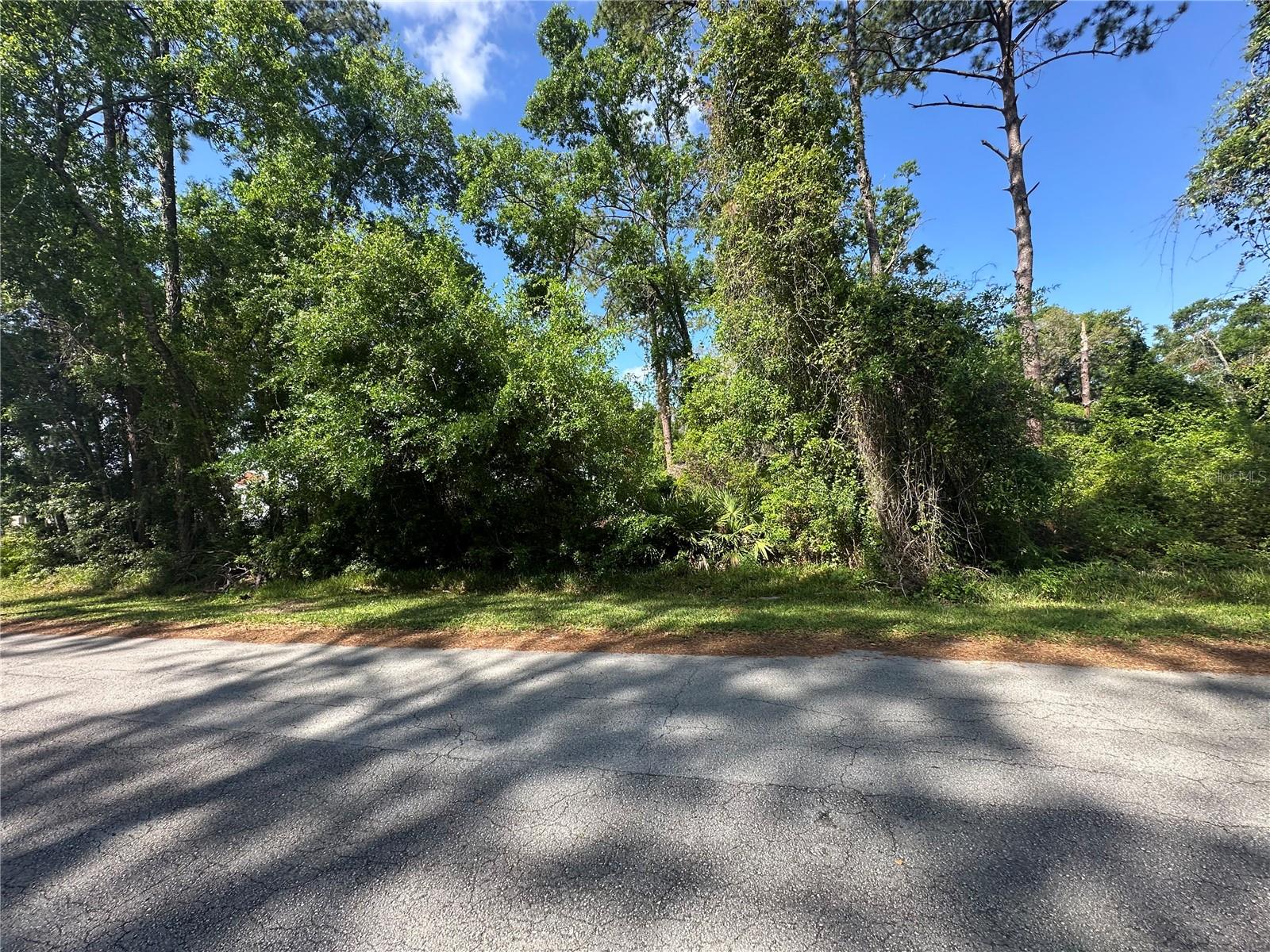 173E, WILDWOOD, FL, 34785