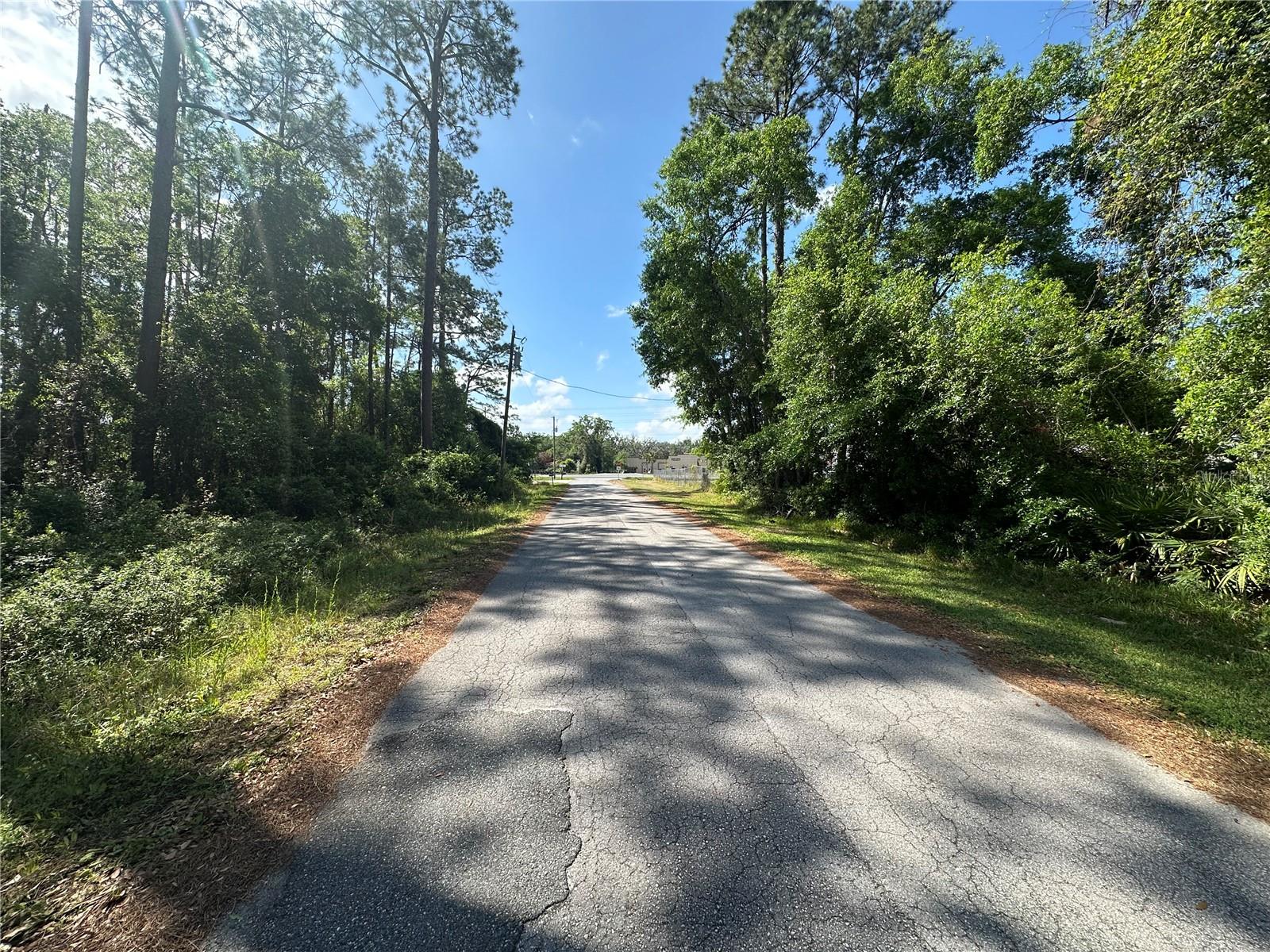 173E, WILDWOOD, FL, 34785