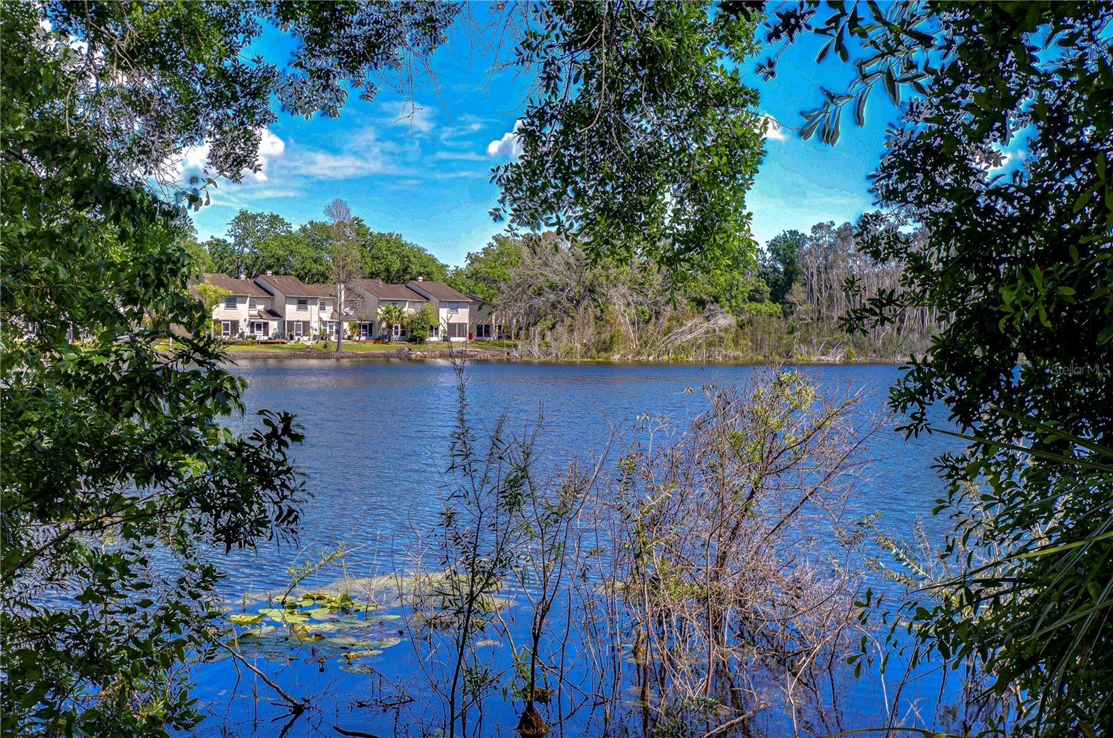 13329 N ARMENIA AVE, TAMPA, FL, 33613