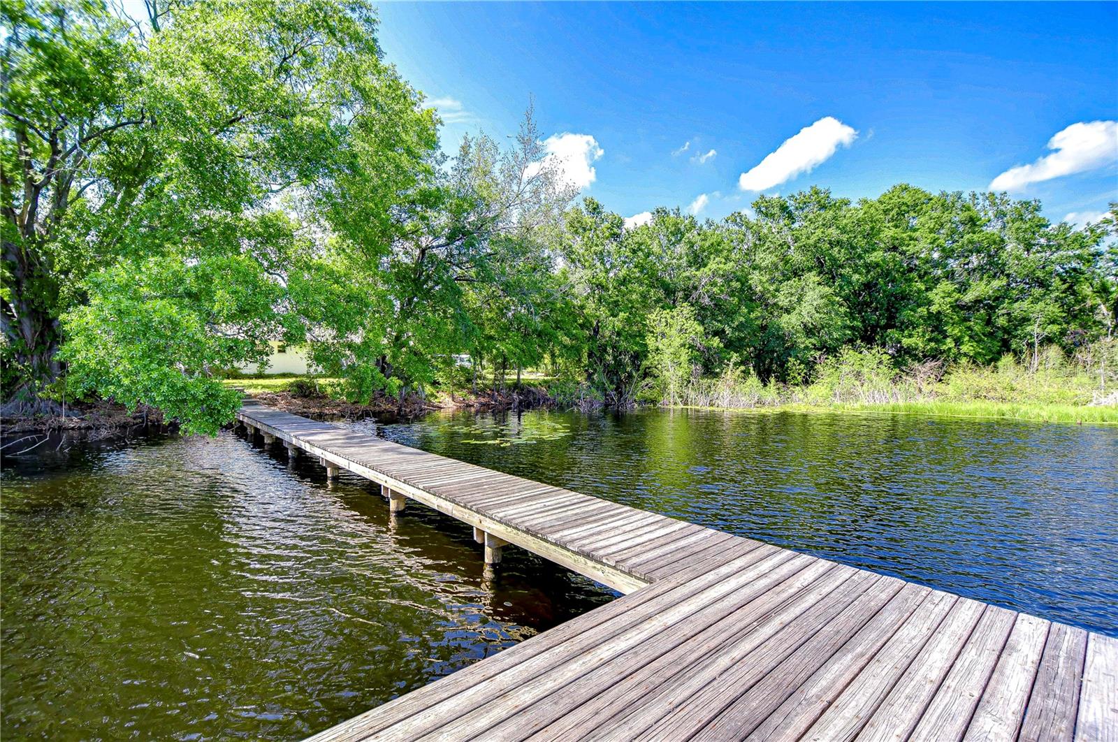 13329 N ARMENIA AVE, TAMPA, FL, 33613