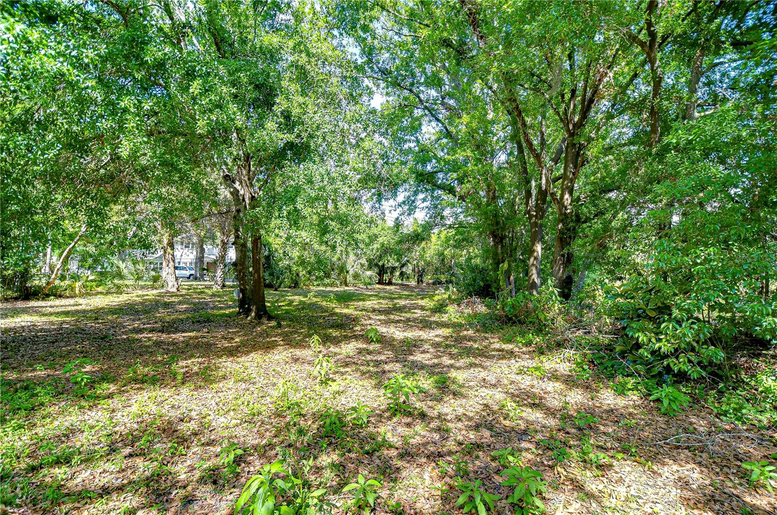 13329 N ARMENIA AVE, TAMPA, FL, 33613