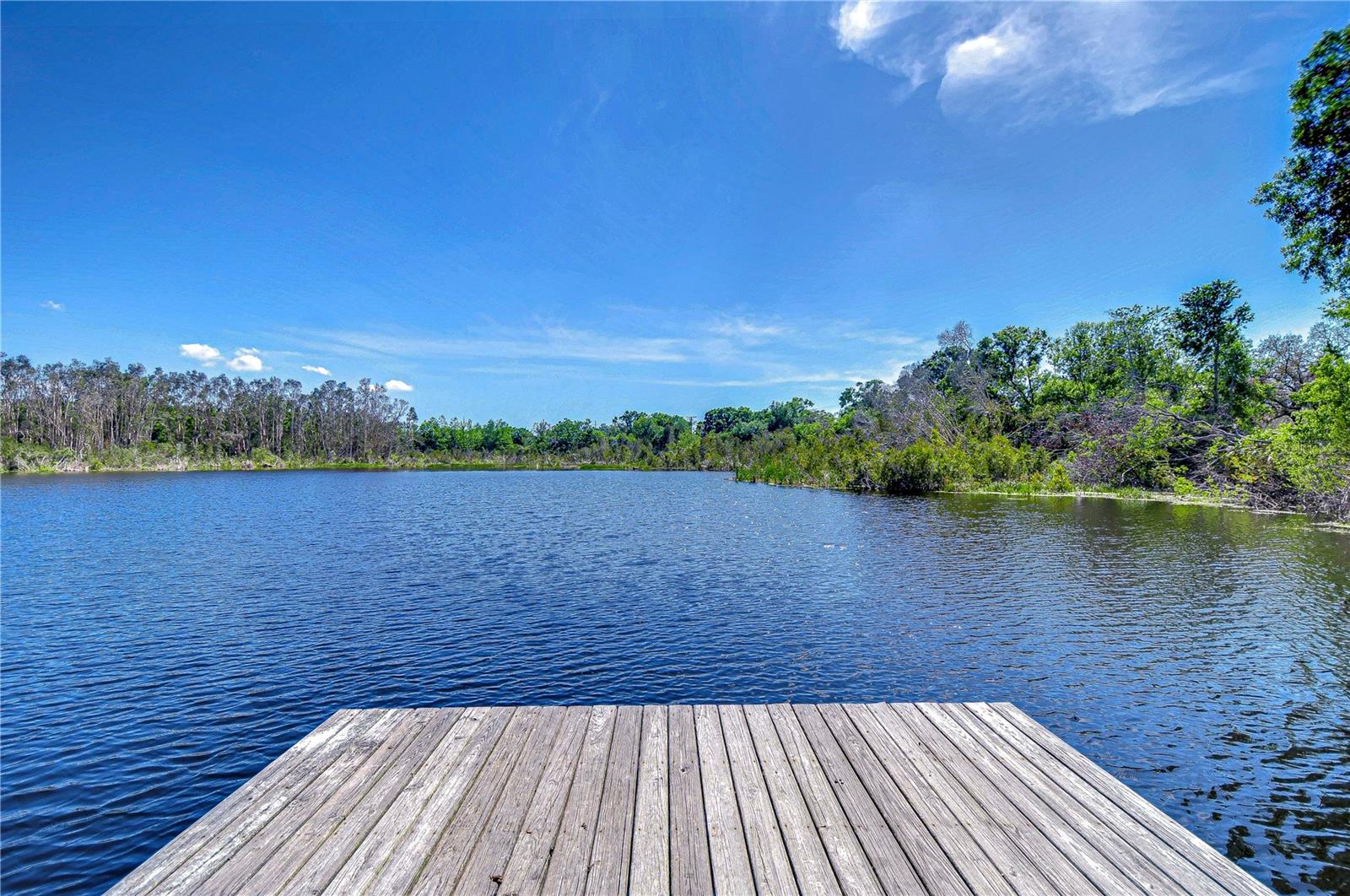 13329 N ARMENIA AVE, TAMPA, FL, 33613