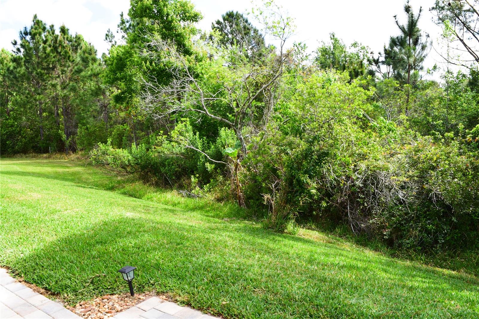 10118 CLEGHORN DR, SAN ANTONIO, FL, 33576
