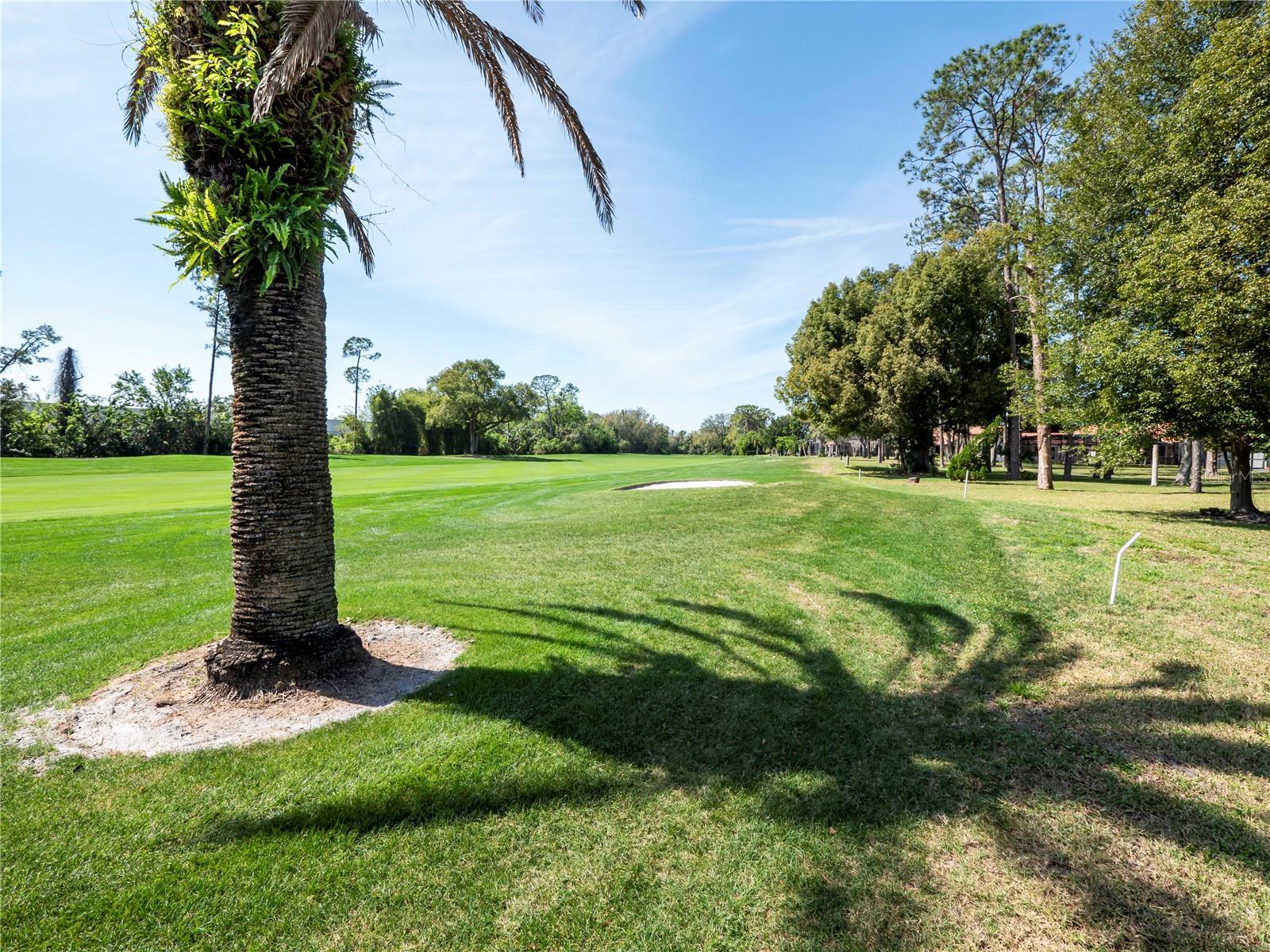 6790 EDGEWORTH DR, ORLANDO, FL, 32819