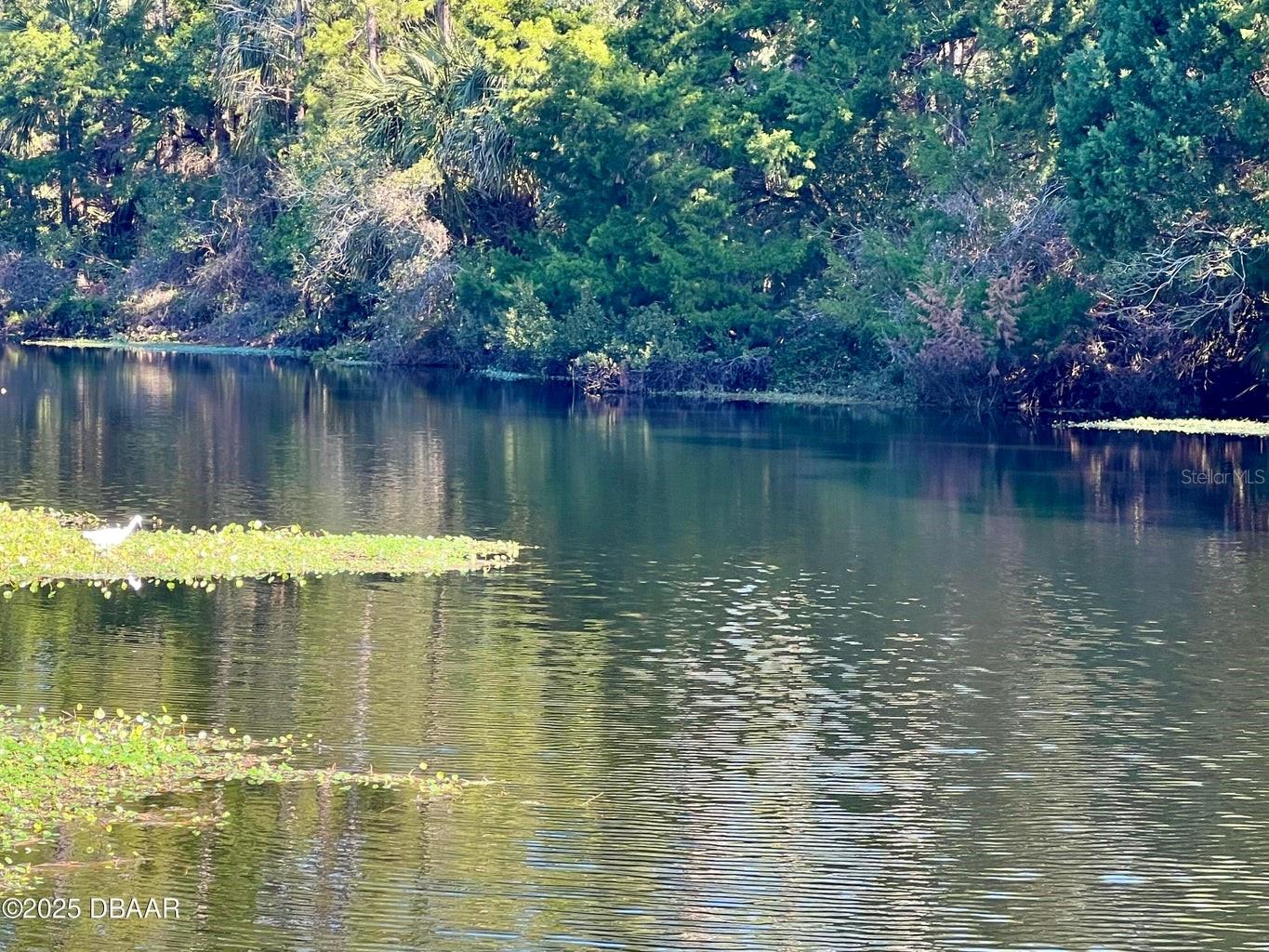 46 WINCHESTER RD, ORMOND BEACH, FL, 32174