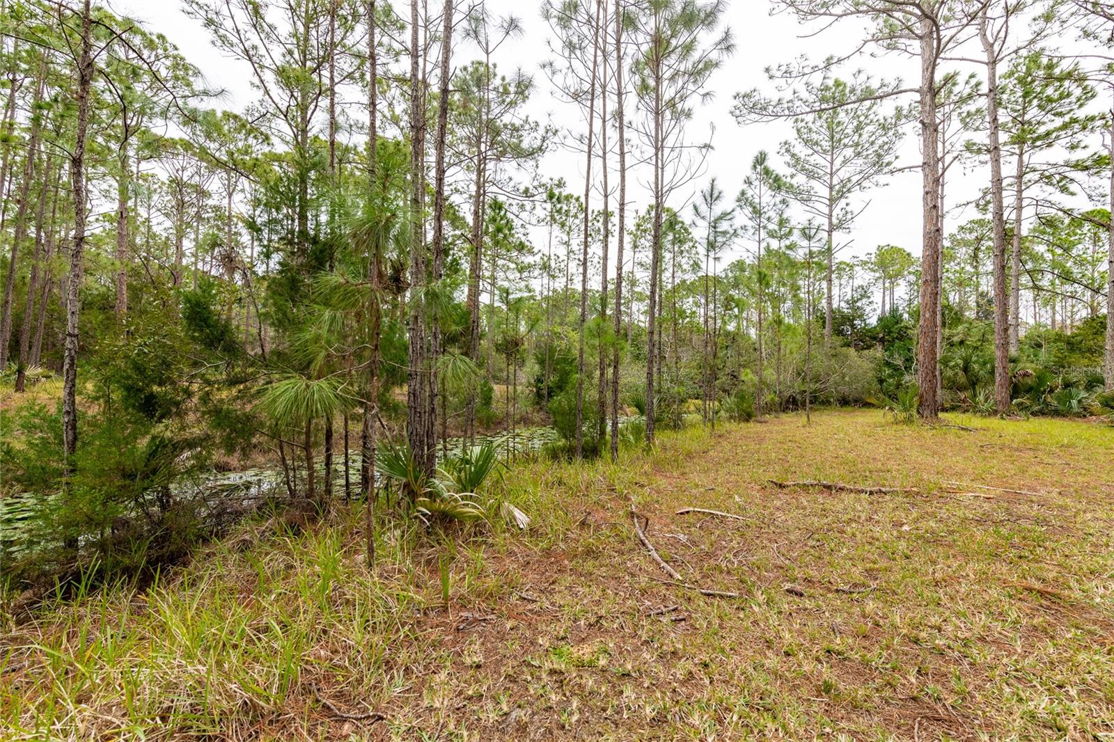 46 WINCHESTER RD, ORMOND BEACH, FL, 32174