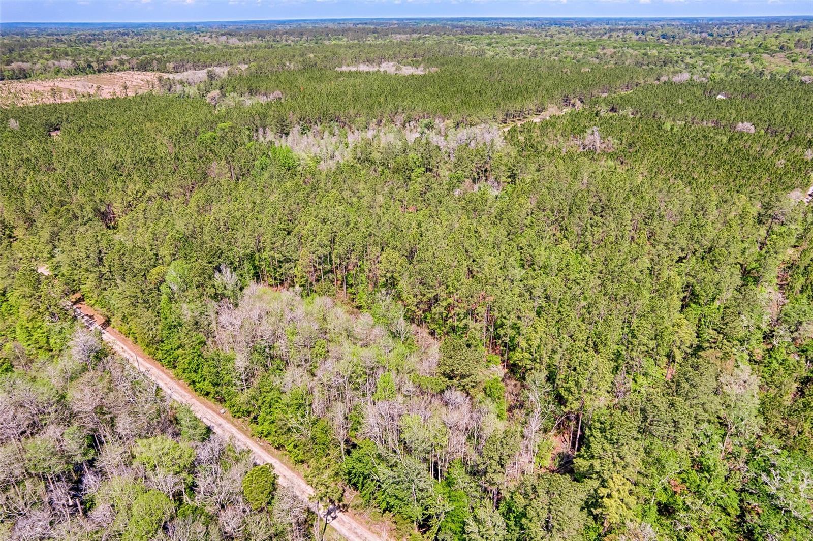 NW 290TH AVE, ALACHUA, FL, 32615