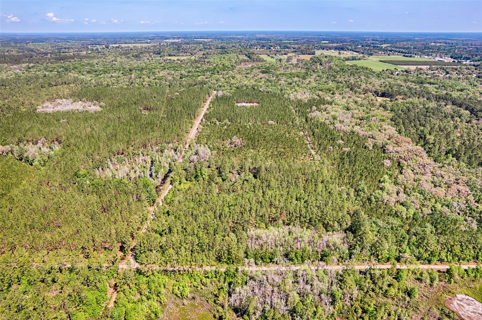 NW 290TH AVE, ALACHUA, FL, 32615