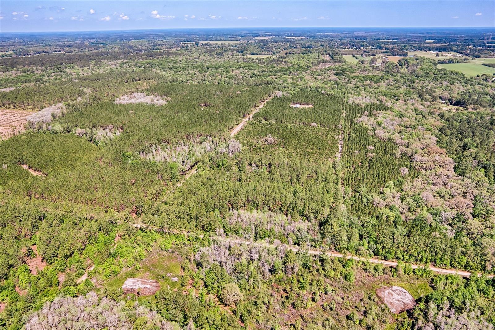 NW 290TH AVE, ALACHUA, FL, 32615