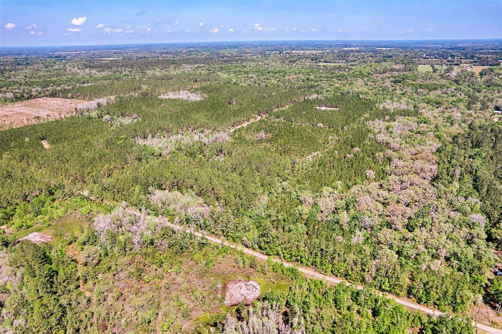 NW 290TH AVE, ALACHUA, FL, 32615