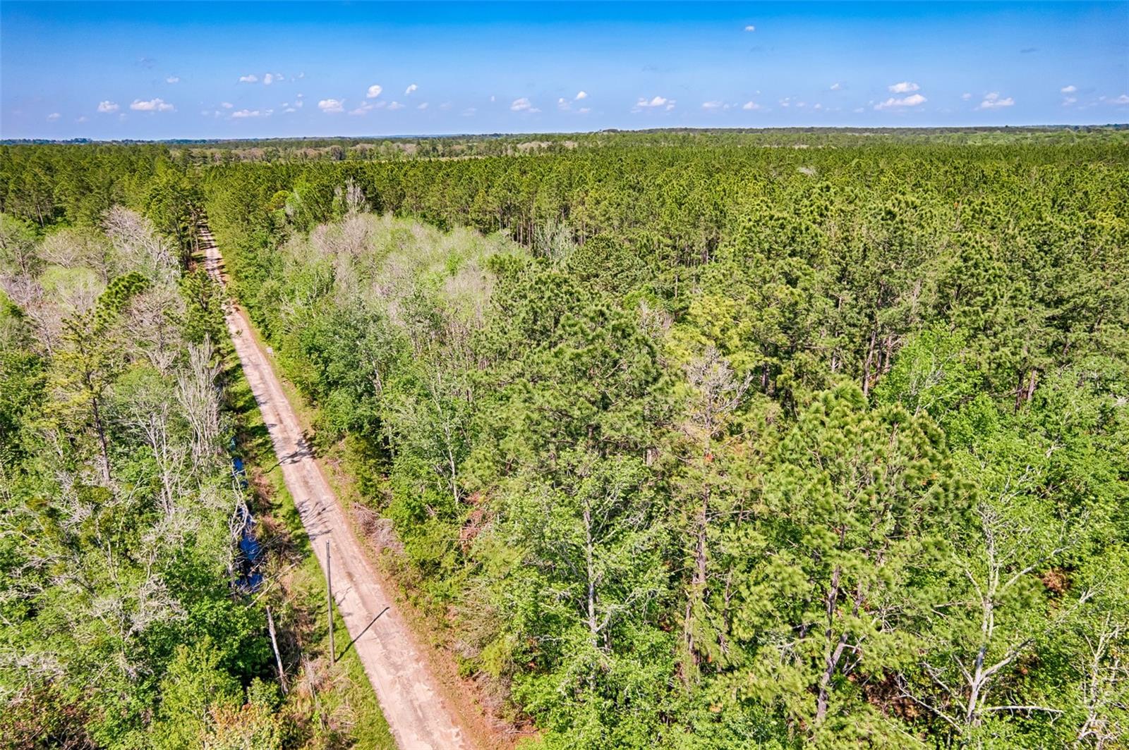 NW 290TH AVE, ALACHUA, FL, 32615