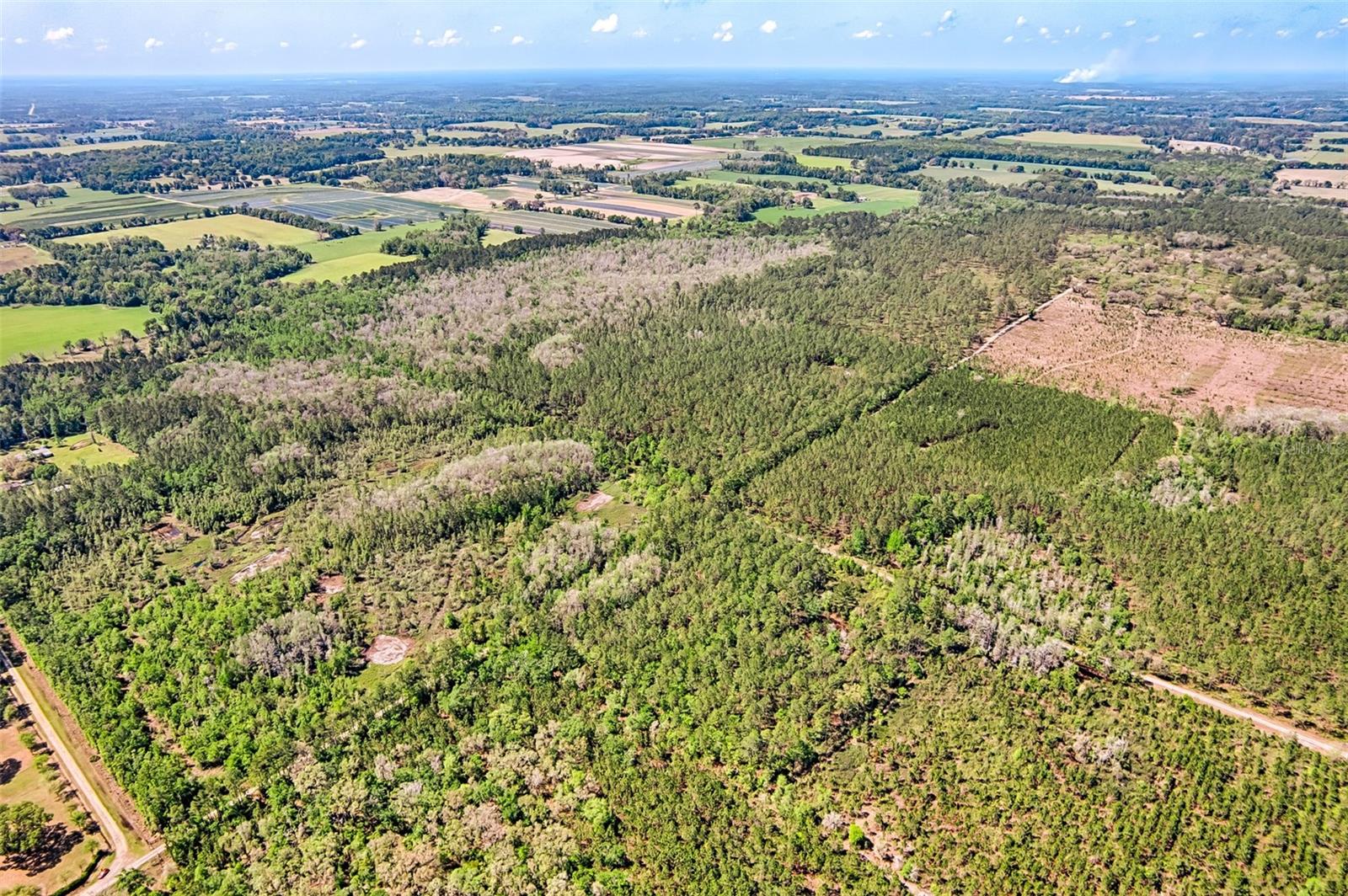 NW 290TH AVE, ALACHUA, FL, 32615
