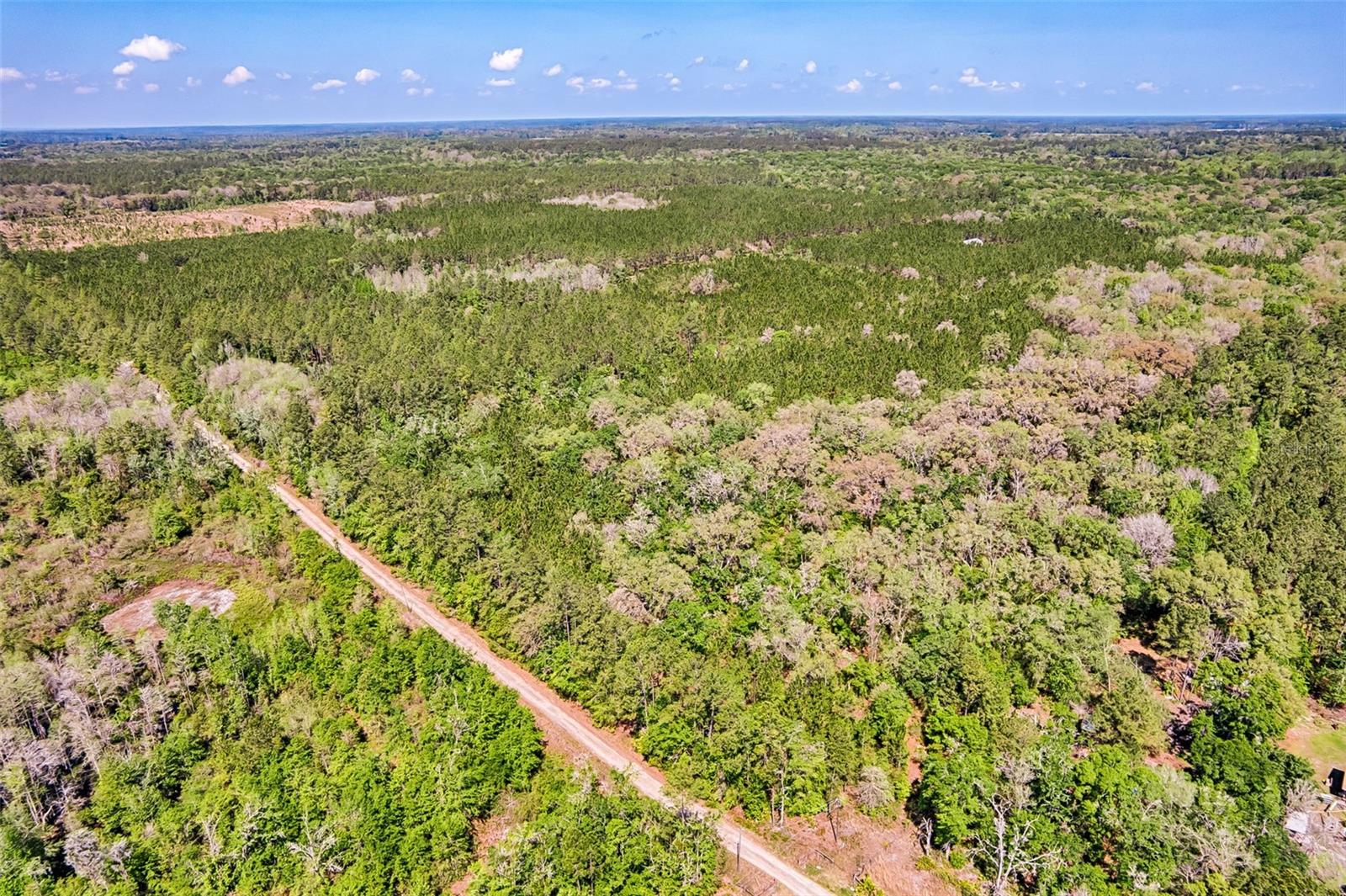 NW 290TH AVE, ALACHUA, FL, 32615