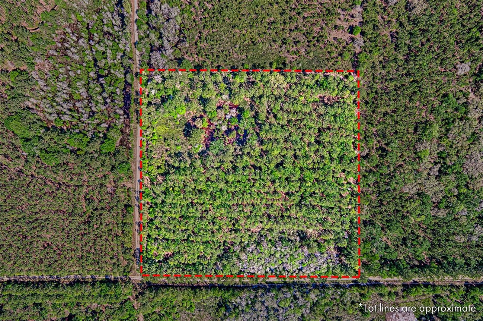 NW 290TH AVE, ALACHUA, FL, 32615