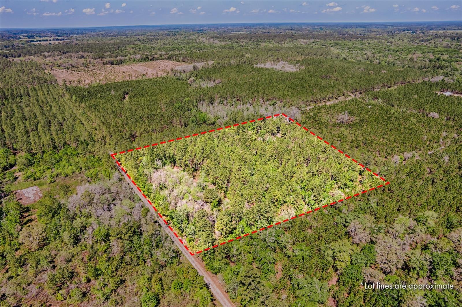 NW 290TH AVE, ALACHUA, FL, 32615