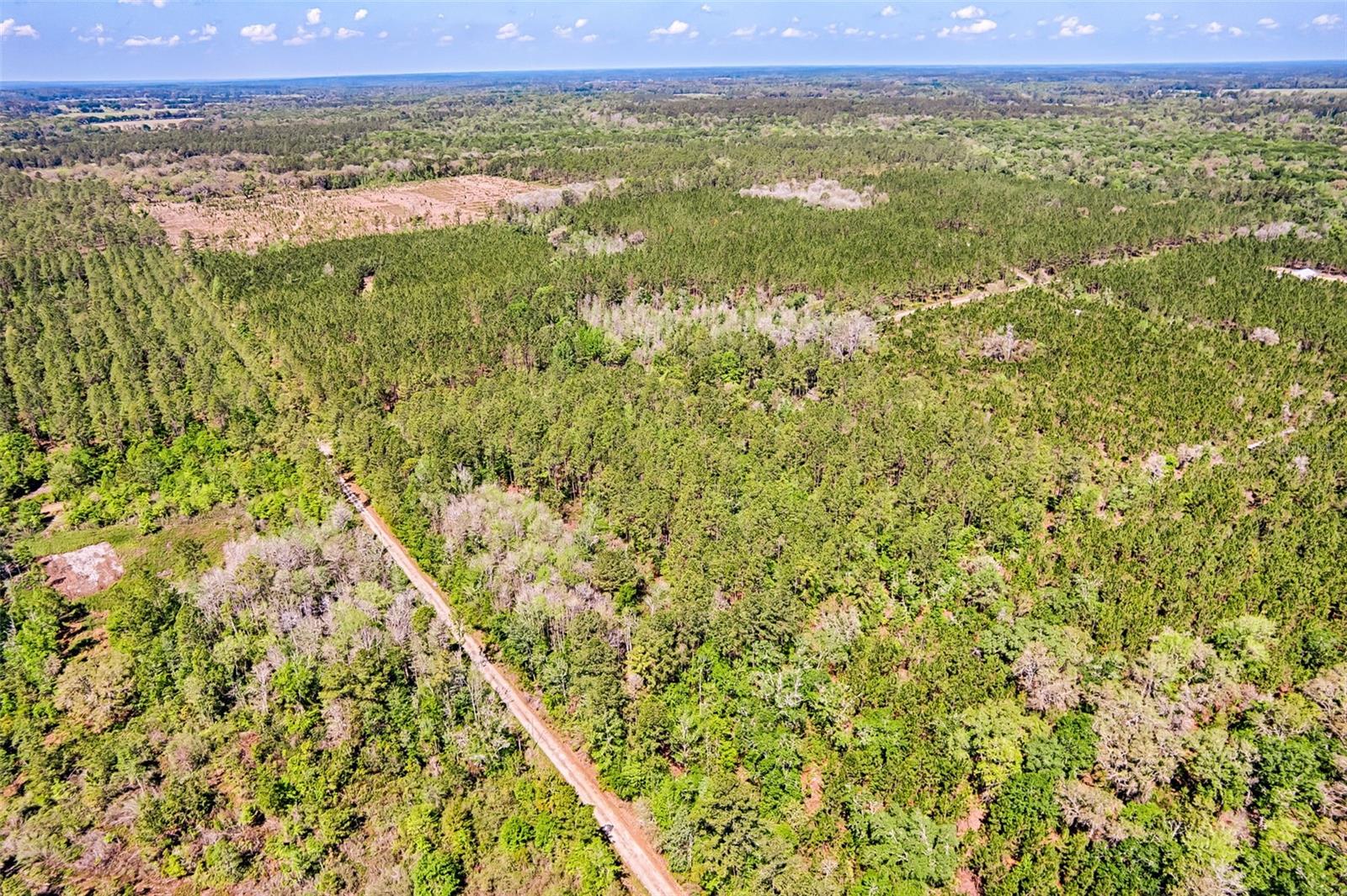 NW 290TH AVE, ALACHUA, FL, 32615