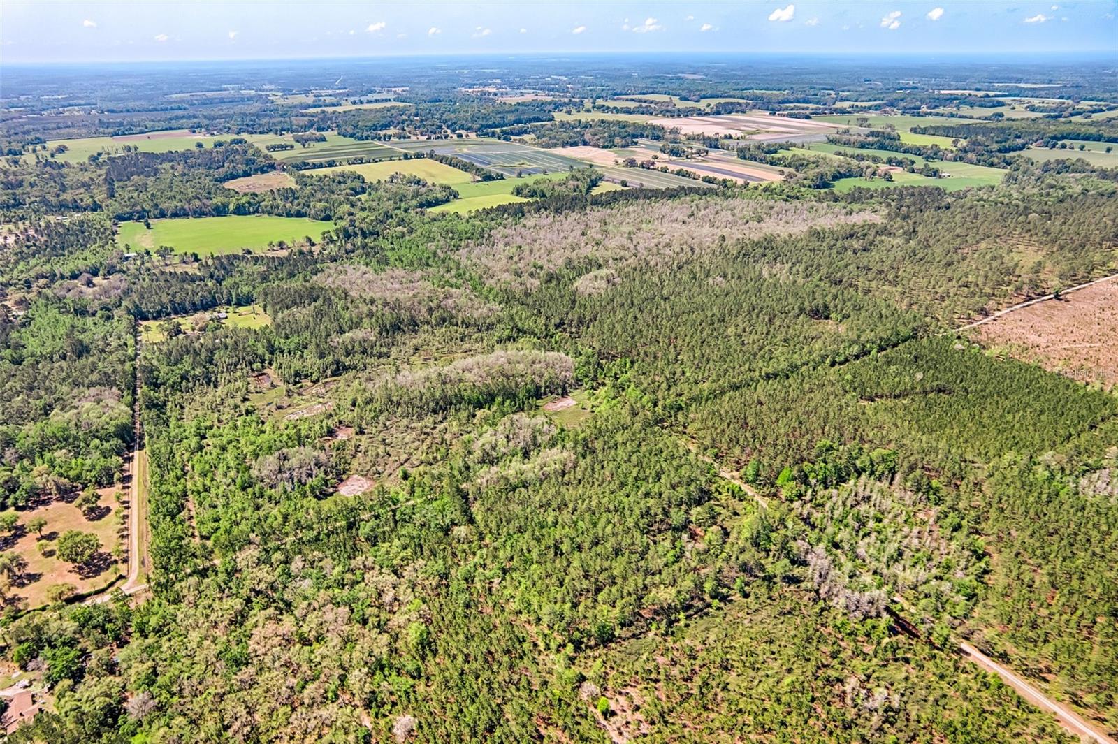 NW 290TH AVE, ALACHUA, FL, 32615