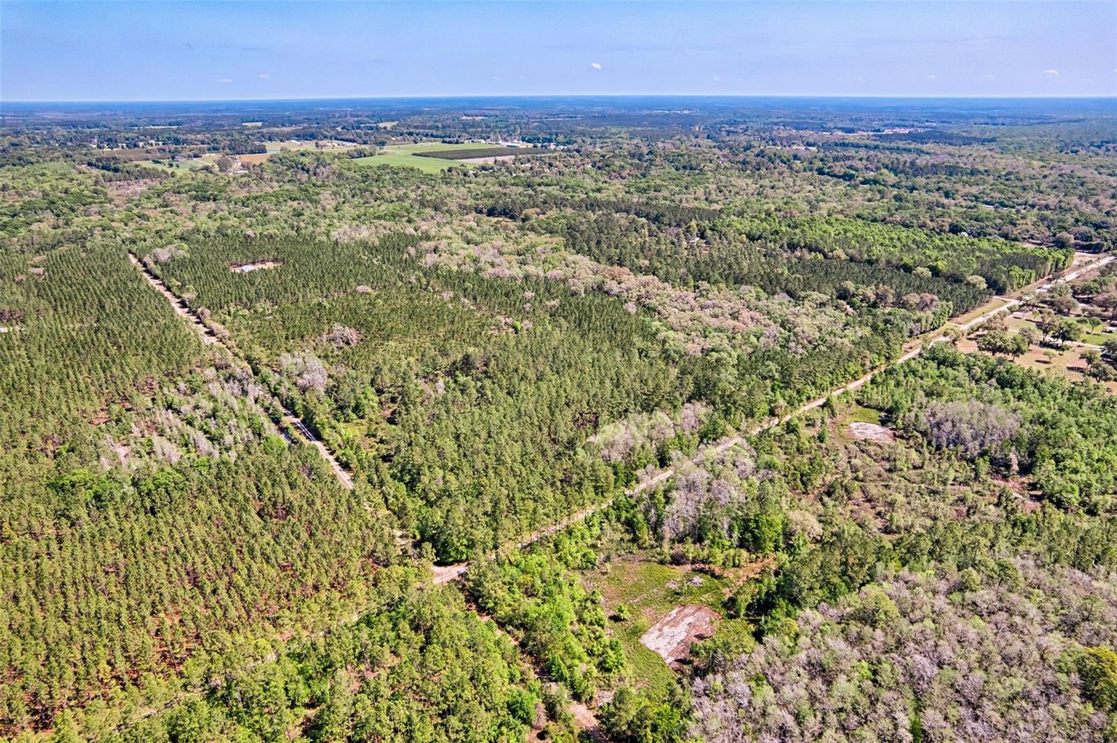 NW 290TH AVE, ALACHUA, FL, 32615